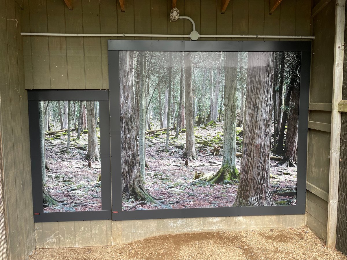 BannerFrame CLASSIC with Covers 