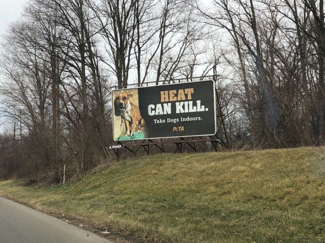 PosterSpring - Billboard Molding